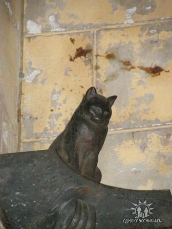 Кто сказал "МЯУ"?